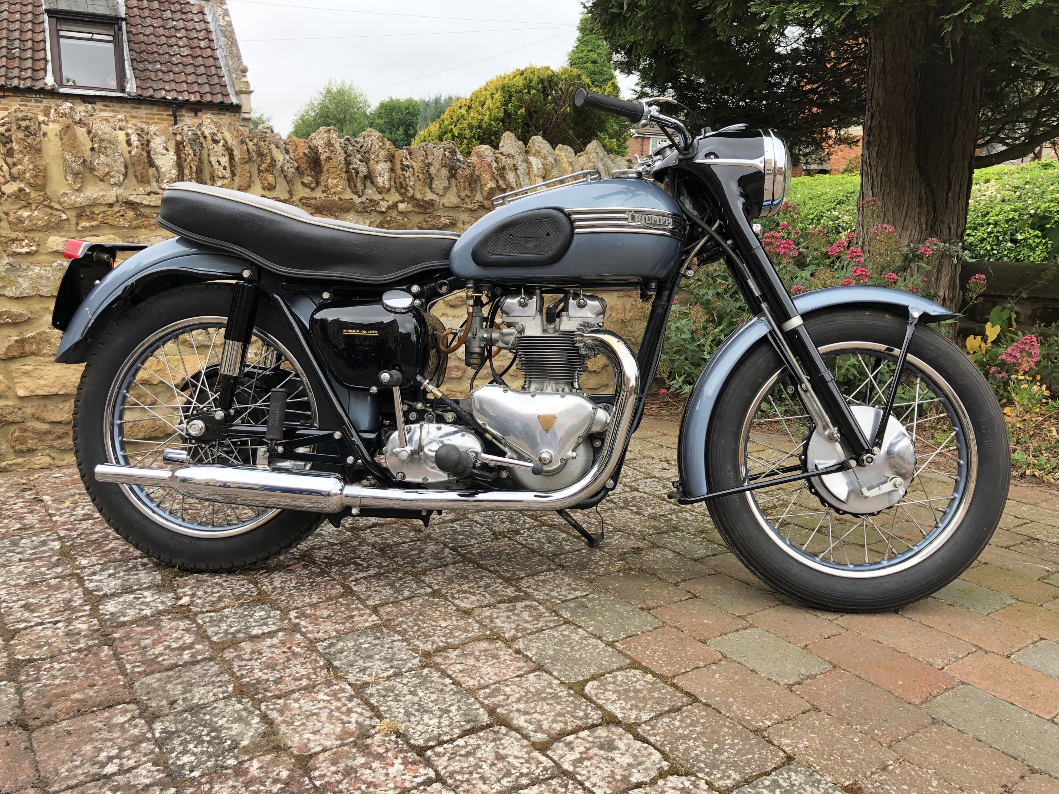 1955 triumph t100