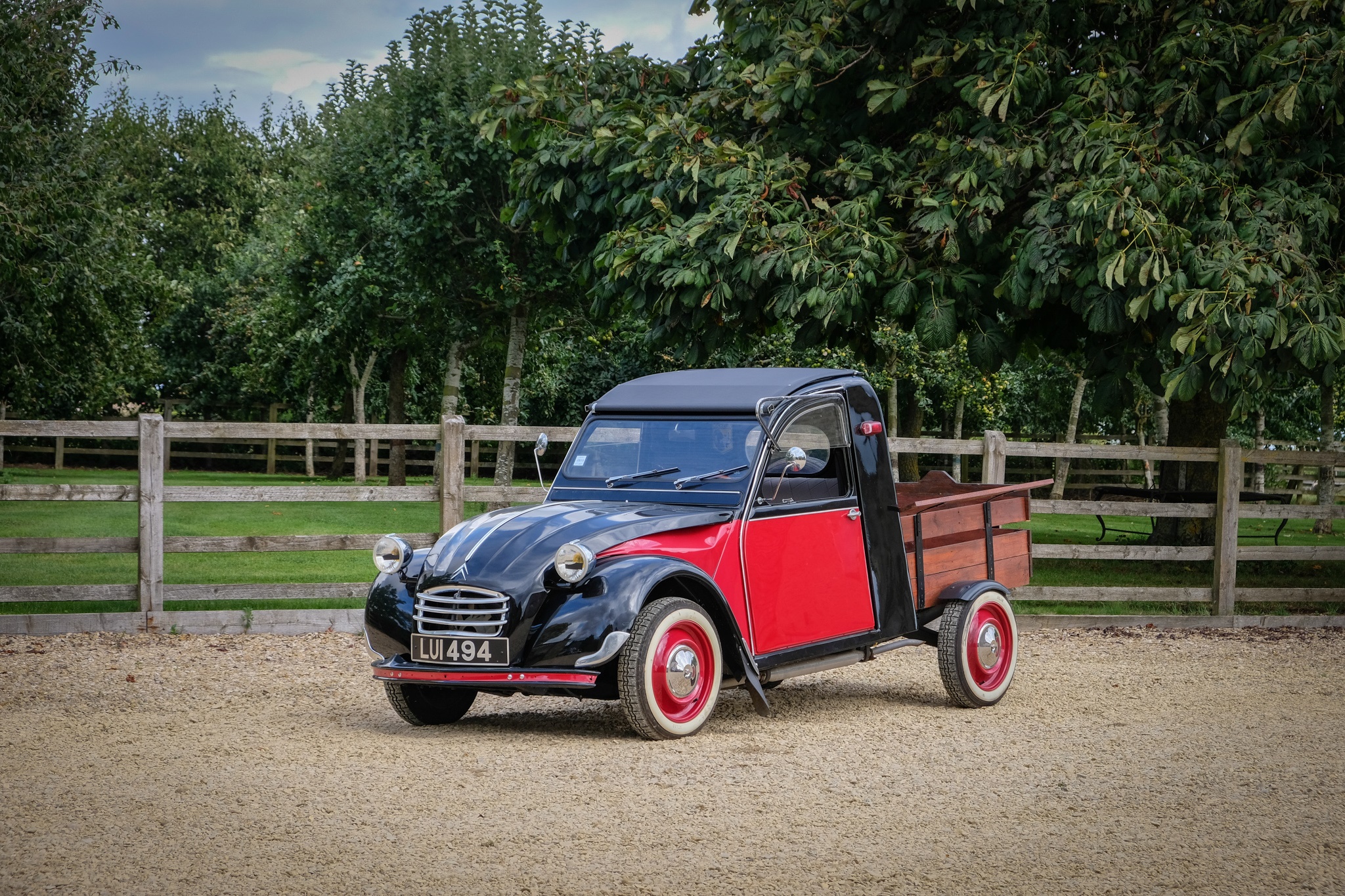 20058831-29.jpg?v=63829443285837