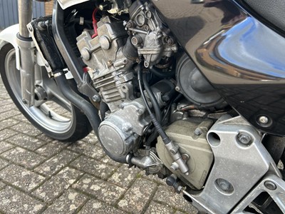 Lot 261 - 1996 Honda Hornet 250