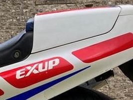 Lot 215 - 1989 Yamaha FZR1000 Exup
