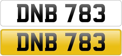 Lot Registration Number ‘DNB 783’