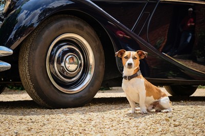 Lot 44 - 1951 Jaguar MK V 3.5-Litre Drophead Coupe