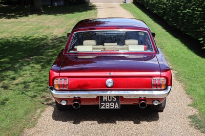 Lot 203 - 1966 Ford Mustang V8 4.6 SVT 'Notchback'