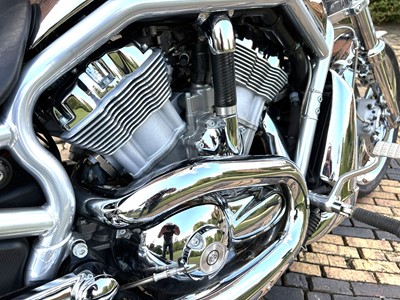 Lot 304 - 2004 Harley Davidson VRSCA V-Rod