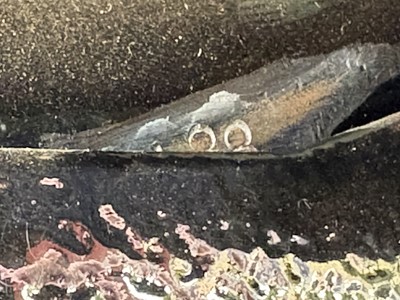 Lot 300 - 1928 Pegasus