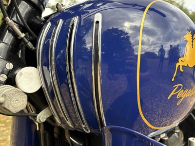 Lot 300 - 1928 Pegasus