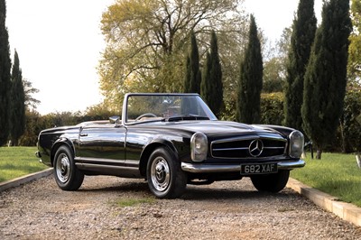 Lot 51 - 1964 Mercedes-Benz 230 / 250 SL