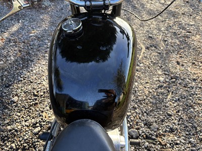 Lot 1960 Panther Model 120