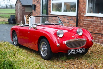Lot 1969 Frogeye Car Company Healey Sprite