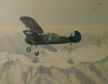 Lot 411 - Gloster Gladiator By R. Gale