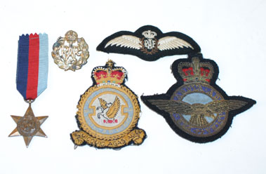 Lot 407 - Raf Badges & Insignia