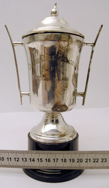 Lot 405 - The Dickie Dale Memorial Trophy