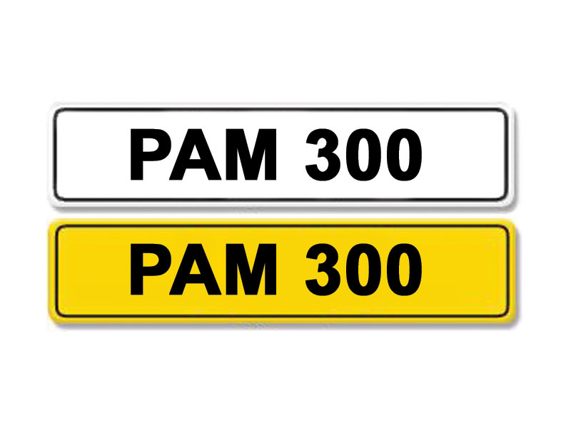 Lot 1 - Registration Number PAM 300