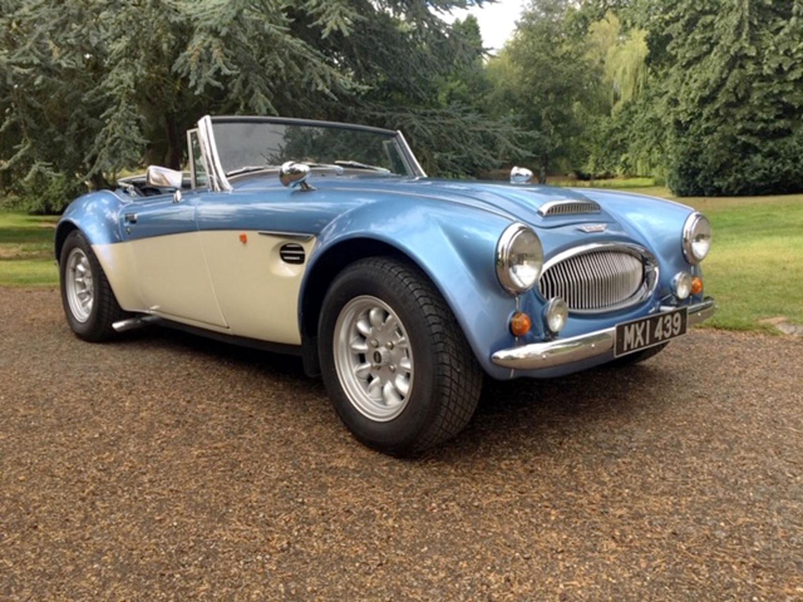 Lot 32 - 1981 Sebring TMX