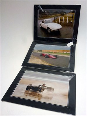 Lot 24 - Three Large-Format Lotus Photographs