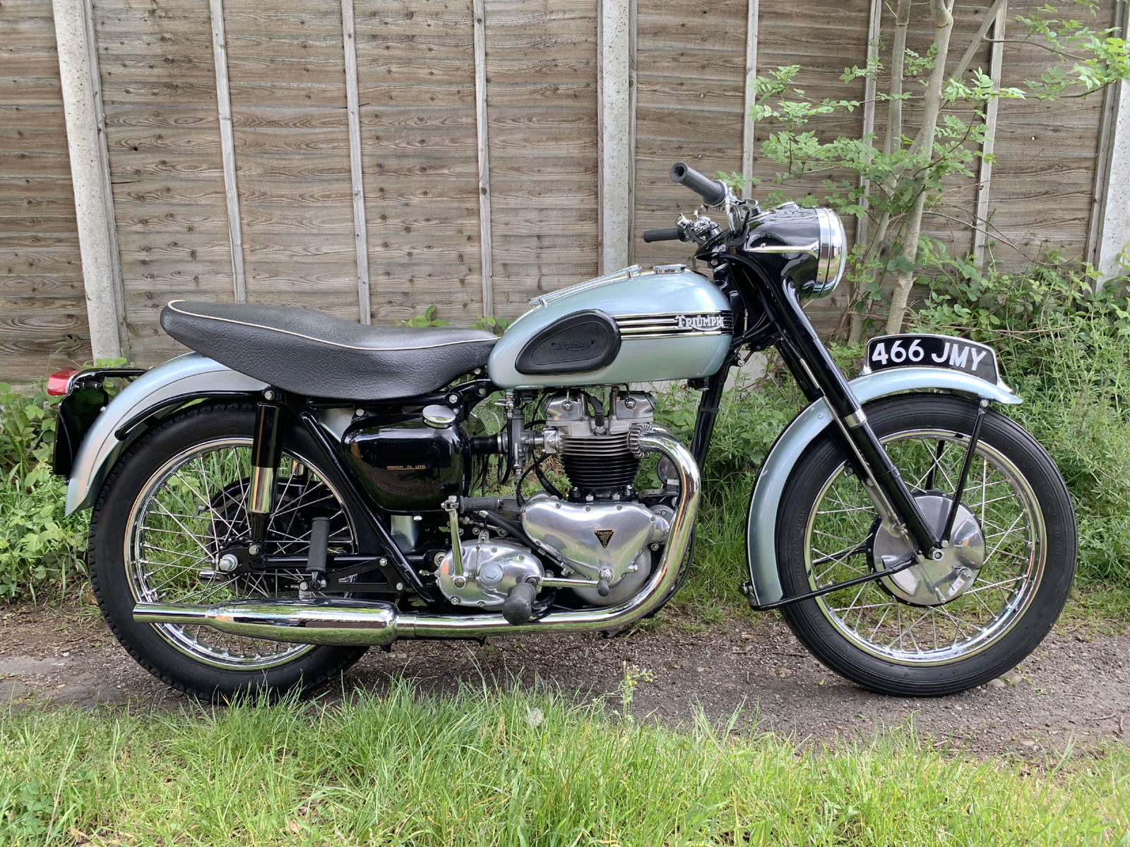 1956 triumph tiger